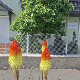 Rohonci Vendégház Kőszeg