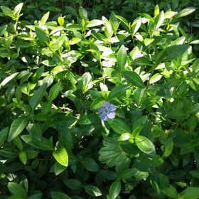 Erika Vendégház Szilvásvárad