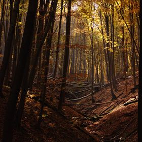 Brauer Panzió Mecseknádasd