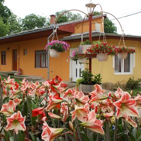 Fenyvesi Vendégház Balassagyarmat