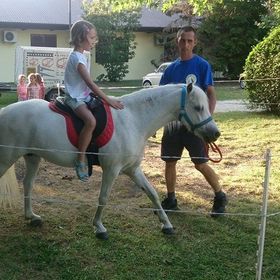 Balaton Eldorado Camping Badacsonylábdihegy