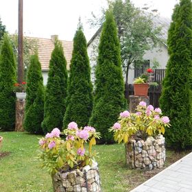 Fenyő Vendégház Parádsasvár