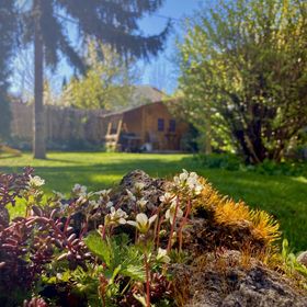 Gyöngyszem Vendégház Eger