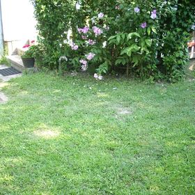 Zsuzsanna Vízközeli Kertes Apartman Balatonlelle