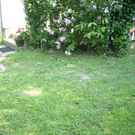 Zsuzsanna Vízközeli Kertes Apartman Balatonlelle