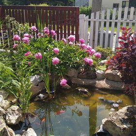 Kardos Apartman Gyenesdiás