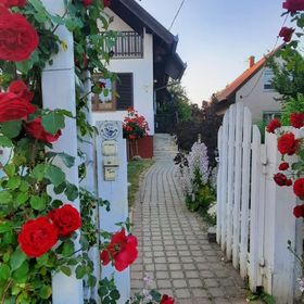 Kardos Apartman Gyenesdiás