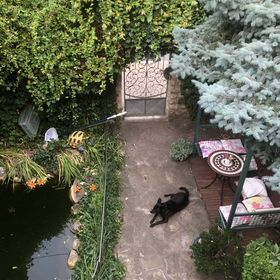 Attila Panzió Gyenesdiás