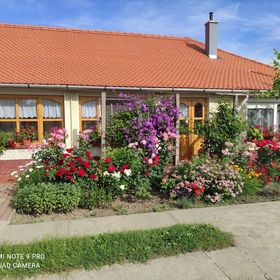 Judit Vendégház Karcag