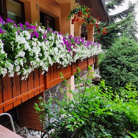 Apartmány PACIFIC Demänovská Dolina