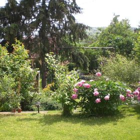 Böne Vendégház Tokaj