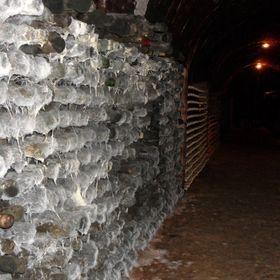 Novák Pince Vendégfogadó Szigetvár