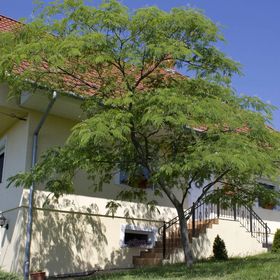 Kenesei Vendégház Gyenesdiás