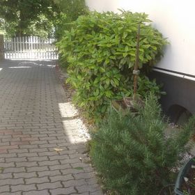 Muszti Apartman Balatonboglár