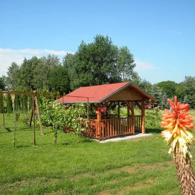 Akácméz Apartman Őriszentpéter