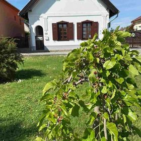 Tulipános Vendégház Fertőszentmiklós