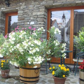 Centrum Vendégház Tihany