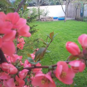 Anna Villa Balatonlelle