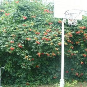 Gyöngyös Apartman Hajdúszoboszló