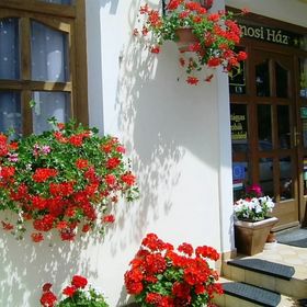 Jánosi Vendégház Tiszafüred