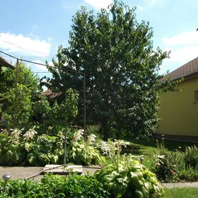 Kincső és Csenge Vendégház Hajdúszoboszló