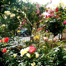 Pál Apartman Hévíz