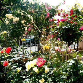 Pál Apartman Hévíz