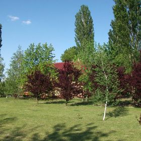 Páva Vendégház Mórahalom