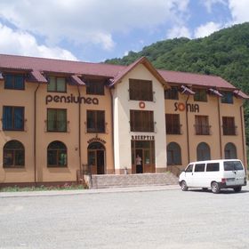 Pensiunea Sonia Telciu