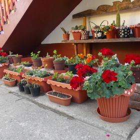 Napfény Vendégház 2 Hajdúszoboszló