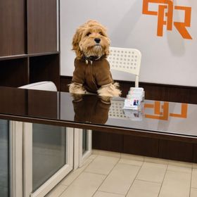 Práter Residence Apartman Budapest