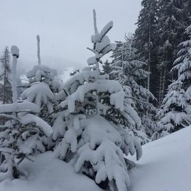 Kramerhaus Hollersbach