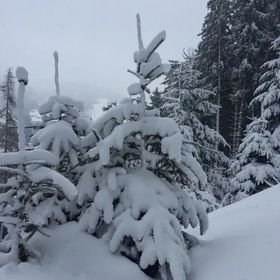 Kramerhaus Hollersbach