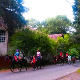 Mathias Lovasudvar Királyháza