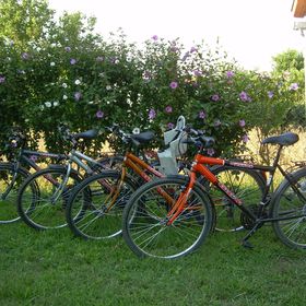 Veronika Vendégház Drávatamási