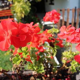 Janka Apartman Szigliget