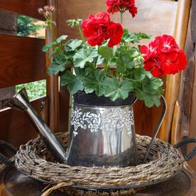 Gyöngyvirág Vendégszoba Tokaj