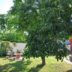 Dolce Vita Vendégház Hajdúszoboszló