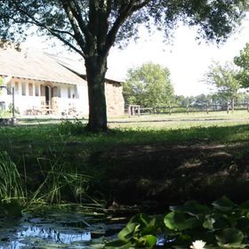 Lovaspanzió Hévíz