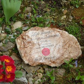 Pálfalvi MSz Sztella Apartman Miskolctapolca