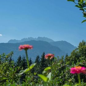 Ferienhaus Waldhof Hermagor-Pressegger See