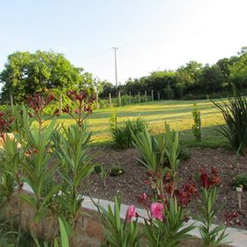 Mátyás Madár Vendégház Tard