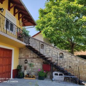 Tóth Pince Apartman Tokaj