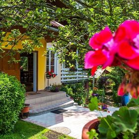 Pensiunea Napraforgó Borzont