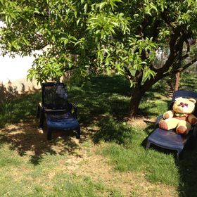 Teddy Bear House Balatonföldvár