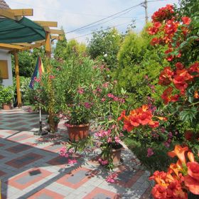 Sportlak Apartman Hosszúhetény