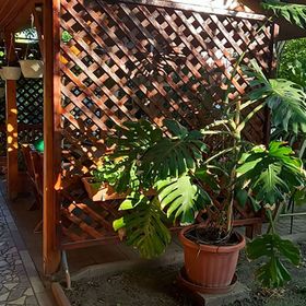 Németh Apartman Tiszafüred