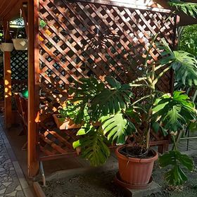 Németh Apartman Tiszafüred