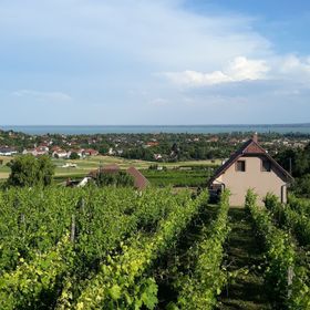 Lekics Pince és Vendégház Balatongyörök