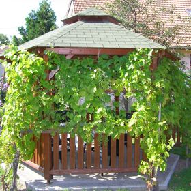 Katalin Vendégház Sárospatak